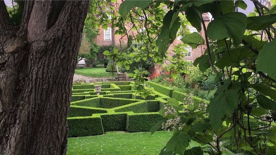 Restoration house garden, tree in foreground and a small maze garden with the house in the distance